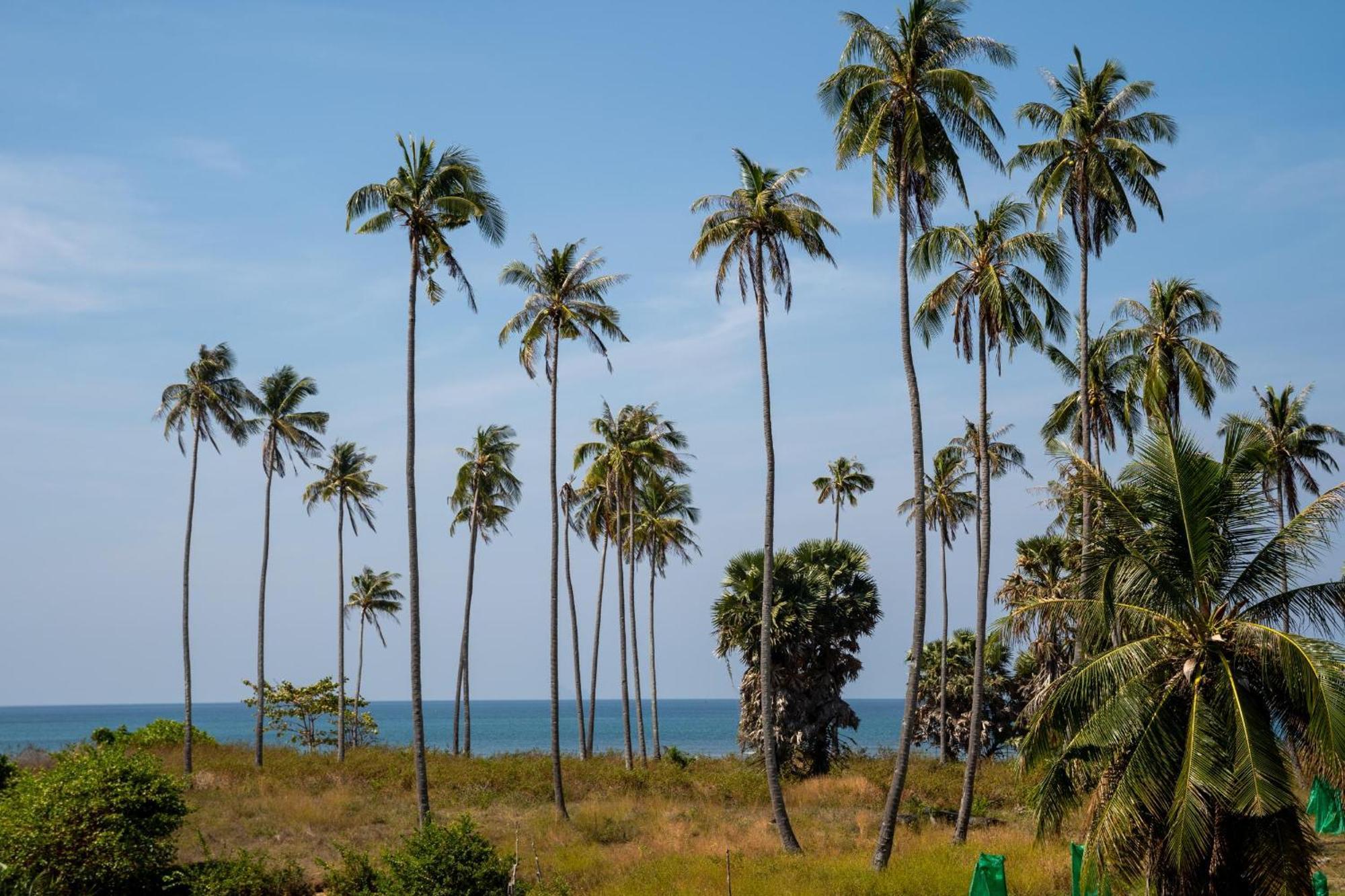 Manao Seaview Pool 32 - 5 Mins Walk To The Koh Lanta